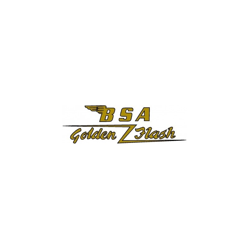 Transfer BSA Golden Flash
