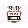 Transfer BSA Hornet